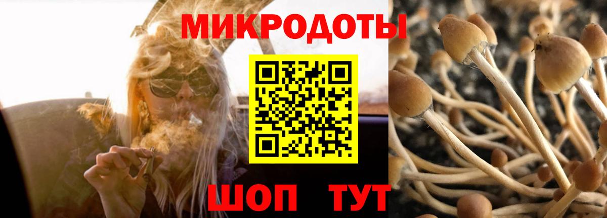 Псилоцибиновые грибы Cubensis Отрадное